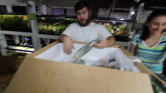 POND PLANT UNBOXING! смотреть онлайн