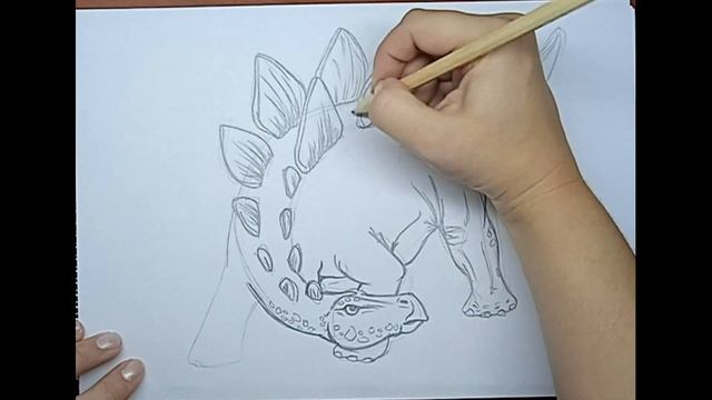 how to draw Stegosaurus \\ Как нарисовать стегозавра \\ Динозавр смотреть онлайн