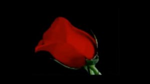 Прости-прощай и на звонки не отвечай (гр. Шоколад)