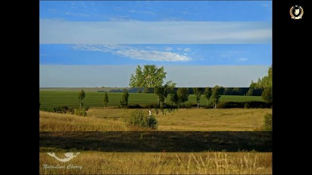 Акция "Самые красивые места Арсеньевского района"- представлены работы Наталии Корзиной смотреть онлайн