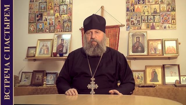 МИРОТОЧЕНИЕ. ДЗЕРЖИНСКИЙ ФЕНОМЕН.(ВСТРЕЧА С ПАСТЫРЕМ. 01.05.17) смотреть онлайн