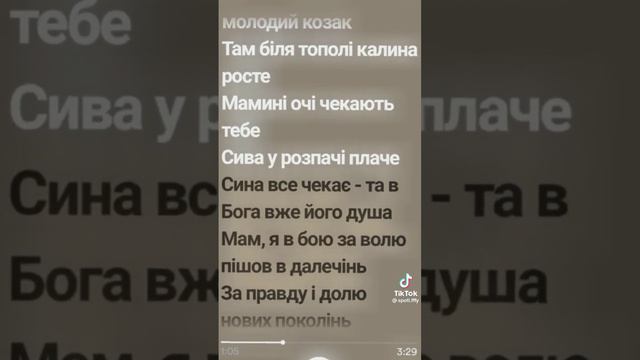 Там біля тополі калина росте мамині очі чекають тебе сива у розпачі плаче сина все чекає 🥺🥺😭 смотреть онлайн