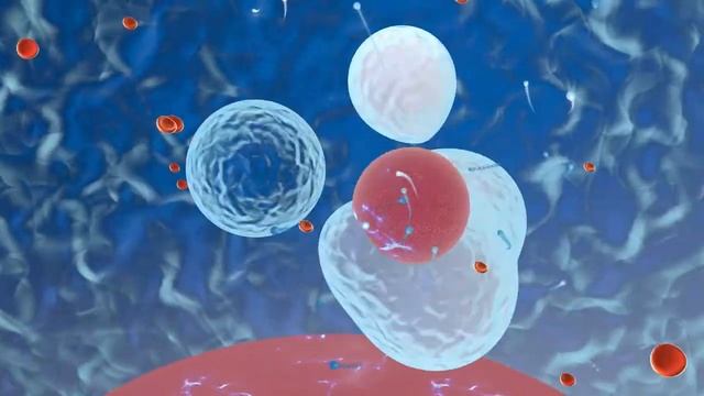 Жизнь клеток внутри нас... смотреть онлайн