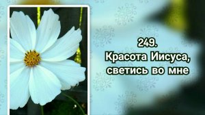 Гимны надежды 249 Красота Иисуса, светись во мне (-)