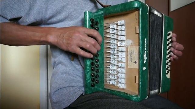 Цвет ночного неба между звёзд (Е. Амирамов) разбор на гармони №-352 с цифрами смотреть онлайн