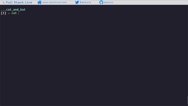 FSL Cool Tools: cat and bat смотреть онлайн