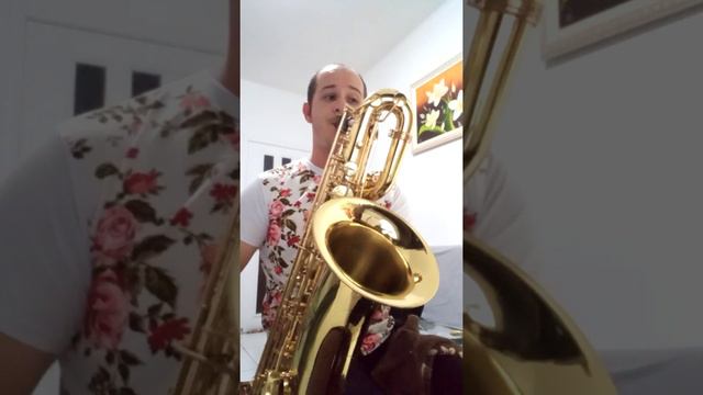 Hino 65 sax barítono смотреть онлайн