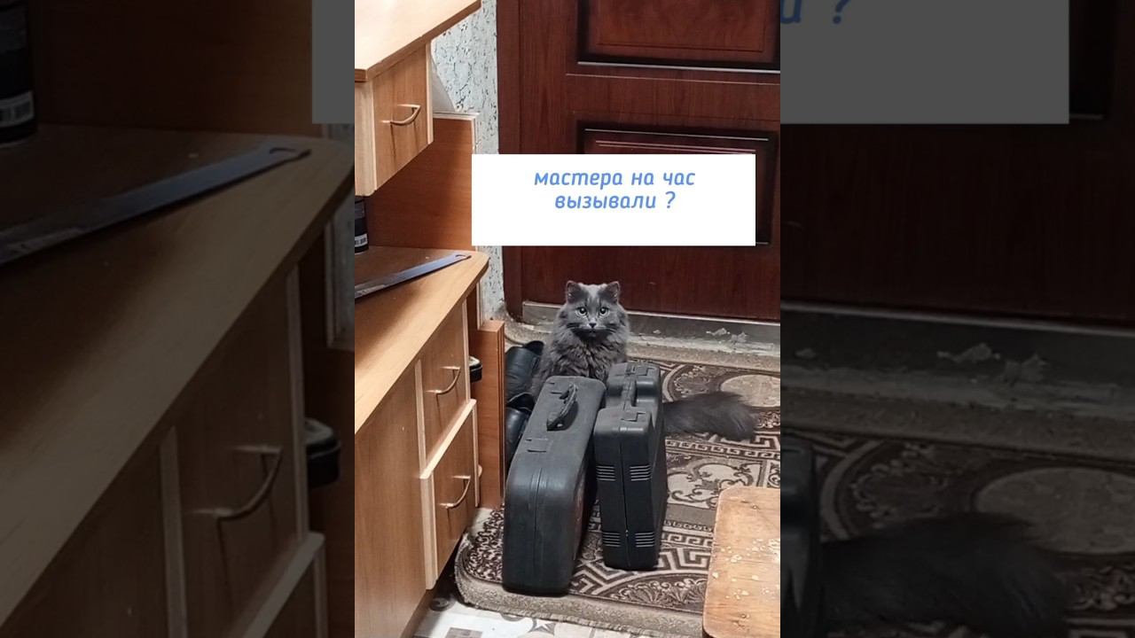 Мастера на час вызывали ?