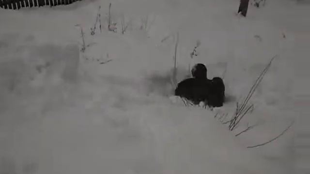 Паркур смотреть онлайн