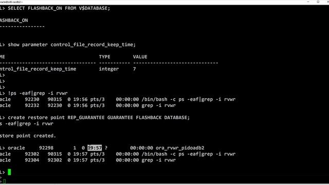 Oracle Concepts 01: Restore points and Flashback database || Normal vs Guaranteed restore points. смотреть онлайн