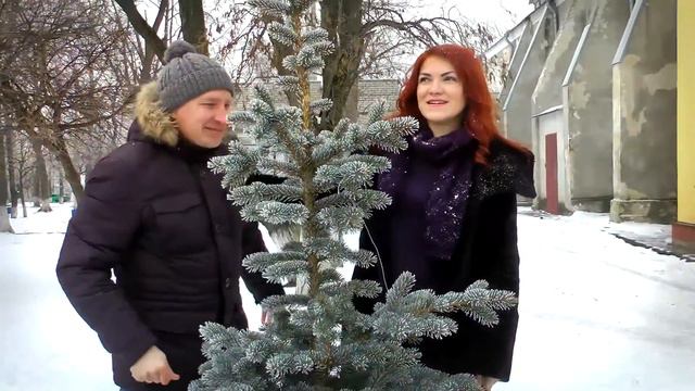 10 лет свадьбы смотреть онлайн