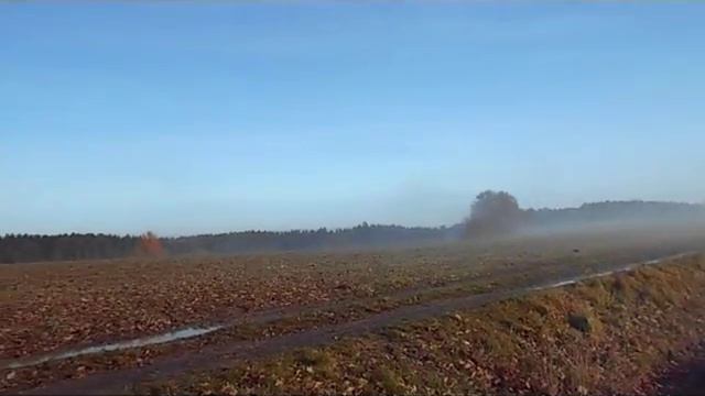 Wald im Nebel 17 смотреть онлайн