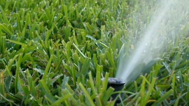 #3 Most Common Landscape Mistake - Improper Watering смотреть онлайн