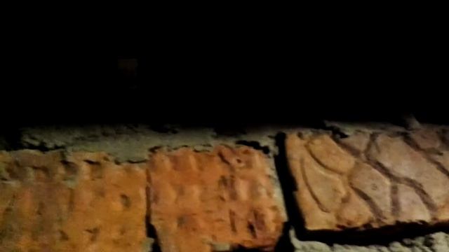Подвал смотреть онлайн