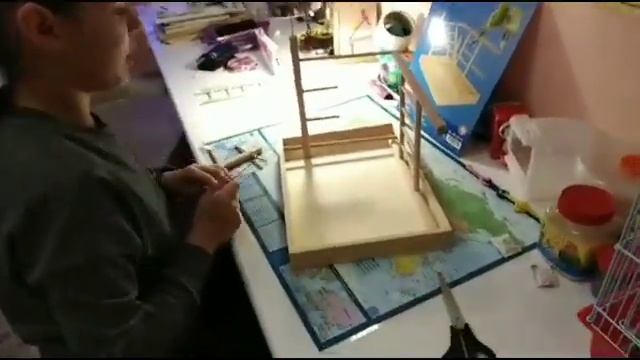 Игровая площадка для попугая смотреть онлайн