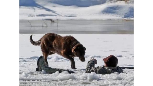 Он провалился под лёд и начал тонуть , как это произошло ? смотреть онлайн