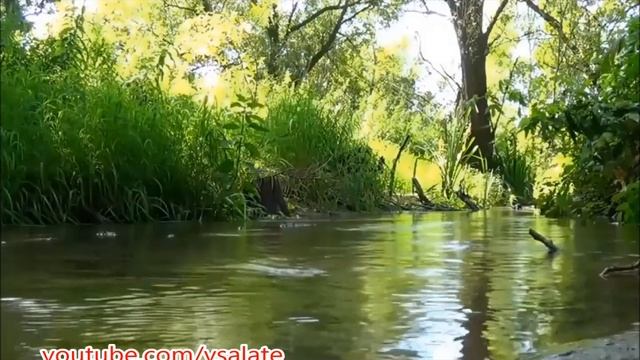 ЧЕСНОЧНОЕ МОЛОКО - ЭЛИКСИР ДЛЯ СЕРДЦА И СОСУДОВ смотреть онлайн