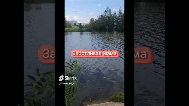 #Shorts   #Мама  #Забота