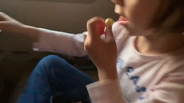 На поезде на Чёрное море. В плацкарте с двумя детьми. Еда в поезд на 4 дня. Поезд Томск-Анапа. смотреть онлайн
