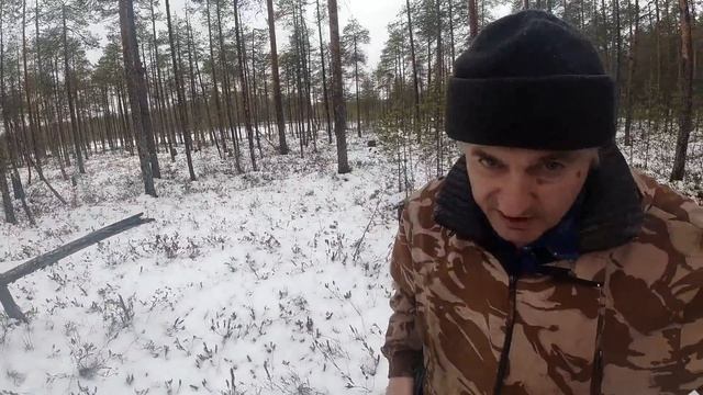 ОХОТА НА МЕДВЕДЯ С ПОДХОДА В КАРЕЛИИ БЕЗ СОБАК! ПО СЛЕДАМ МЕДВЕДЯ-ТРАКТОРА!!! (часть 1) смотреть онлайн