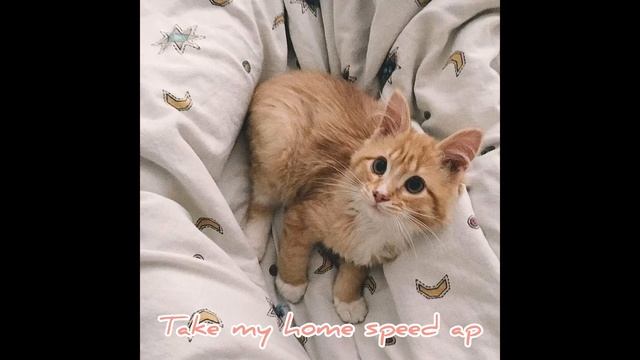 Take my home speed ap смотреть онлайн