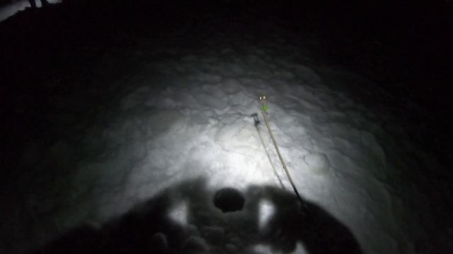 НОЧНАЯ РЫБАЛКА НА ЛЯГУШКУ!!! смотреть онлайн