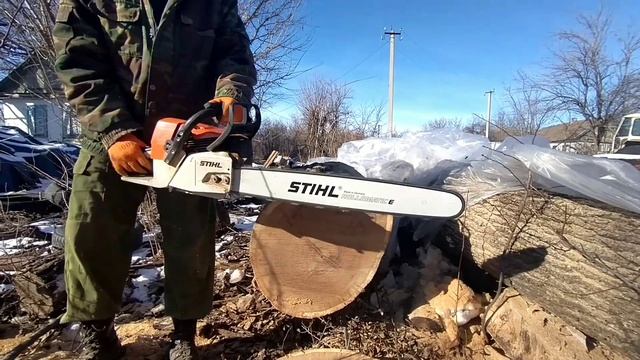 stihl ms361 25bar сухой дуб 50х60см. на что способен штиль мс361 смотреть онлайн