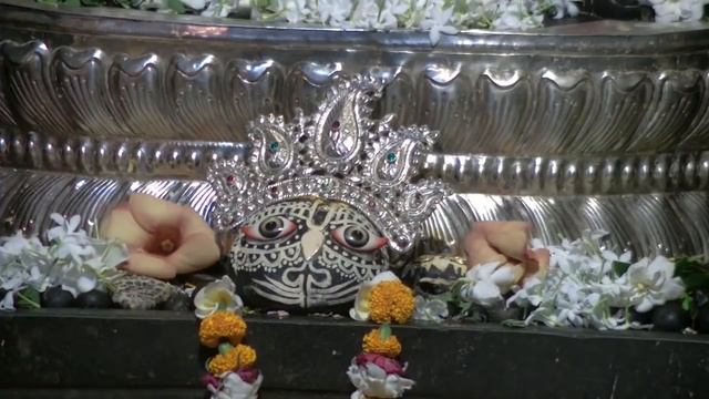 Narasimha Aarti by Prem Hari Kirtan Das at Mayapur смотреть онлайн