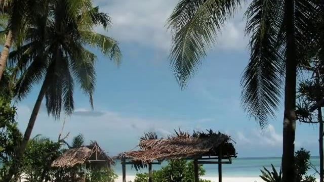 # Indonesia Kaya - Papua - Exploring Papua,Moluccas and East Nusa Tenggara of Indonesia_(360p).flv смотреть онлайн