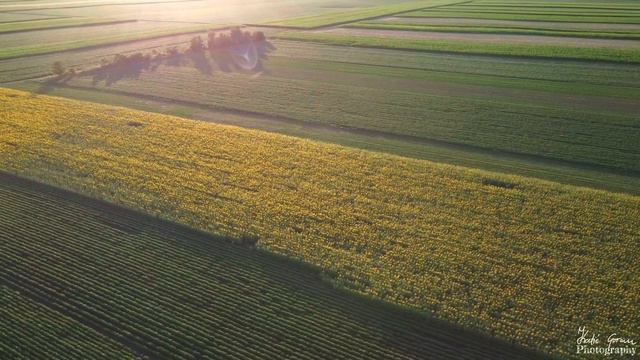Vojvodina, Serbia | #serbia #love #viral #drone #fyp #like #amazing #beautiful #subscribe #sombor # смотреть онлайн