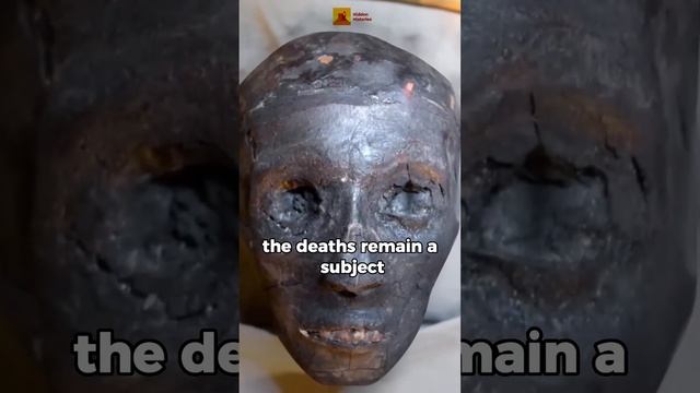 The Curse of King Tut s Tomb #shorts смотреть онлайн