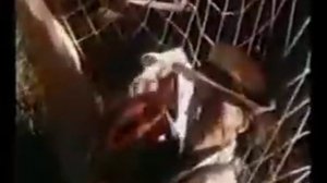 вкус мёда Любовь как звездочка горит)