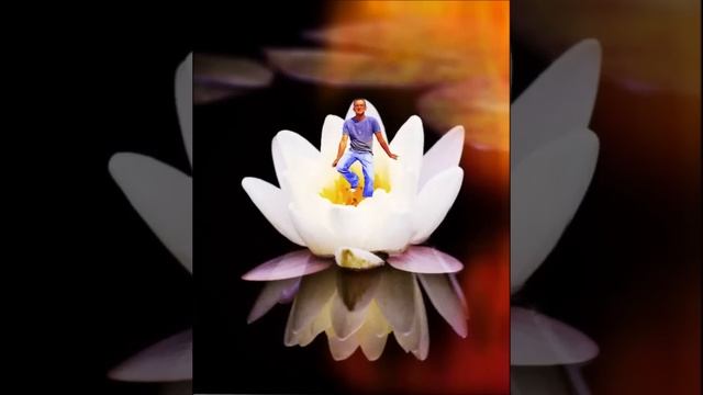 Deva Premal-Satsang With Miten_Full Album