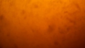 ГОРЧИЦА ДЛЯ КАРАСЯ И КАРПА! ЭТО РАБОТАЕТ НА 1000% НА РЫБАЛКЕ, ПОДВОДНАЯ СЪЕМКА, РЕАКЦИЯ РЫБЫ