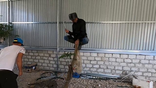 Kẻ Bí Ẩn Mặt Đen Tấn Công Vào Nhà Dân Xin Tiền | Thú Vui 3 Miền смотреть онлайн