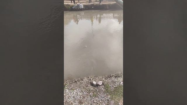 Форелевое хозяйство. Тургень. смотреть онлайн