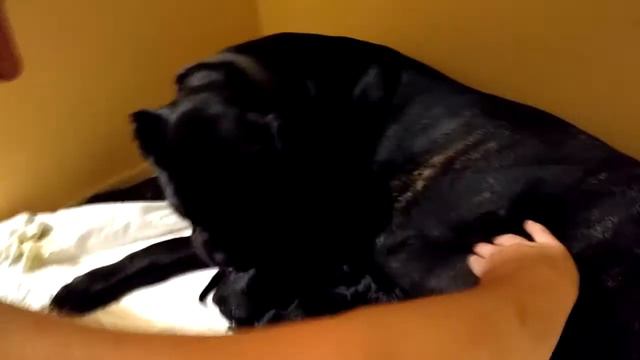 Наши роды смотреть онлайн