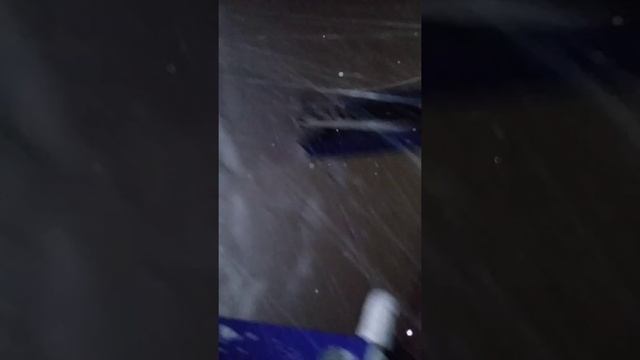 Дети встретили зиму)))