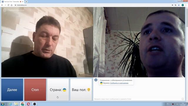 Мои латентные фанаты смотреть онлайн