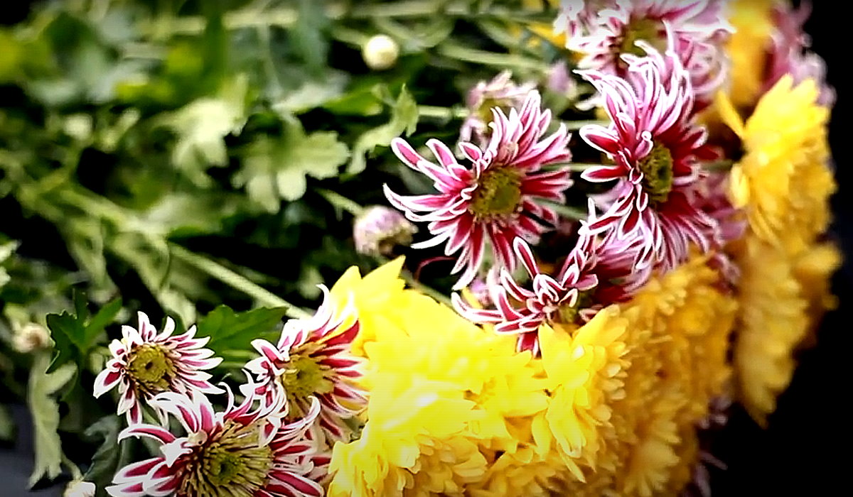 Ну очень ХИТОВАЯ ШТУКА!!! смотреть онлайн