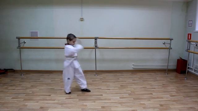 ОНЛАЙН турнир по тхэквондо ПХУМСЕ 00105 смотреть онлайн