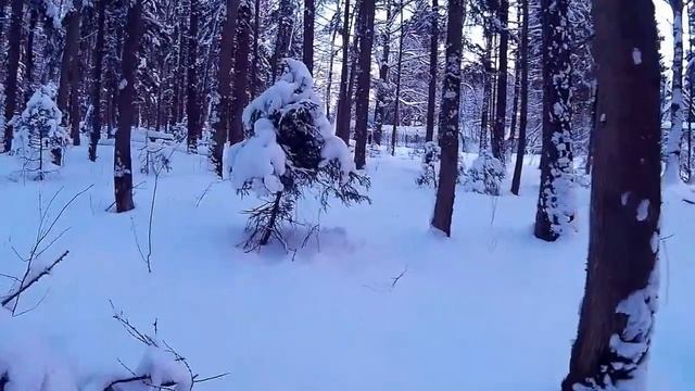 Зимний пейзаж.Winter landscape смотреть онлайн