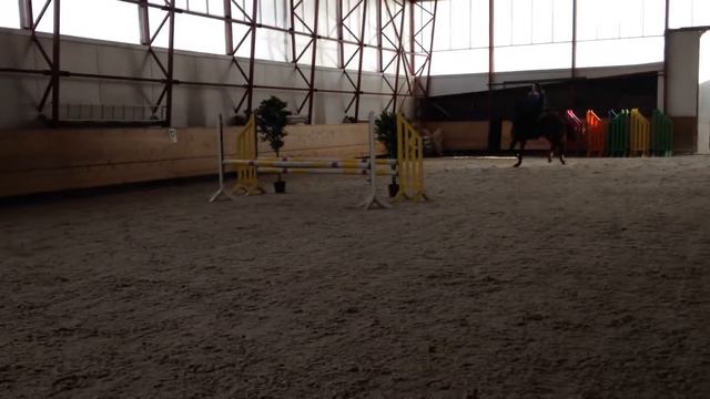 Паз, система