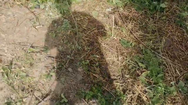 Результат после снятие пленки смотреть онлайн