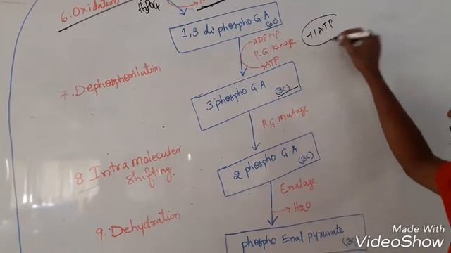 GLYCOLYSIS PRAKASH SIR смотреть онлайн