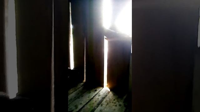 Голуби мого друга ? смотреть онлайн