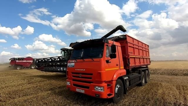 Помощник из СССР! Наши ЗИЛы еще на ходу. Уборка урожая 2023 смотреть онлайн