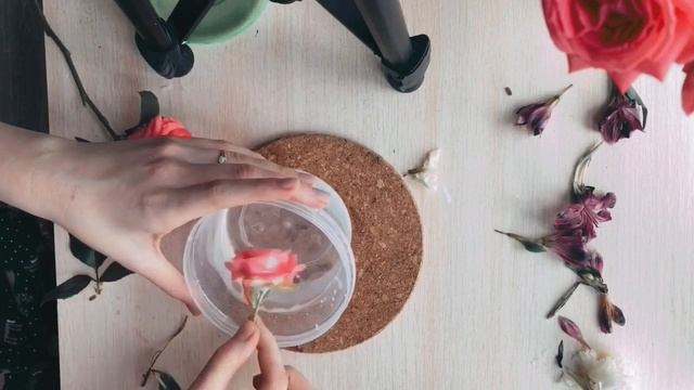 Стабилизируем цветы. Или как продлить жизнь срезанным цветам смотреть онлайн
