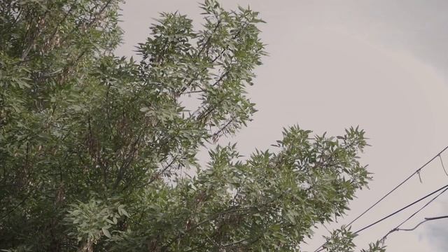 Spring E01 (sunshower) смотреть онлайн