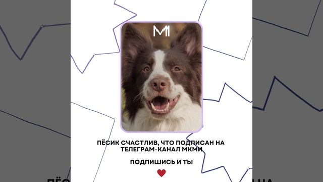 С ума сойти! Вы еще не подписались на наш телеграм-канал? смотреть онлайн